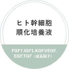 ヒト幹細胞順化培養液