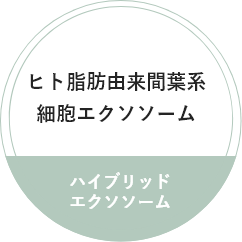 ヒト脂肪由来間葉系細胞エクソソーム
